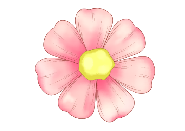 花朵